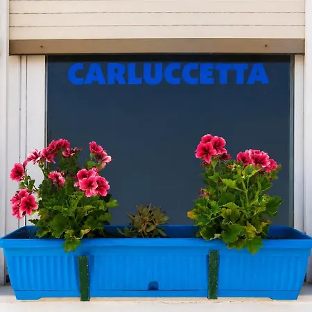 Carluccetta