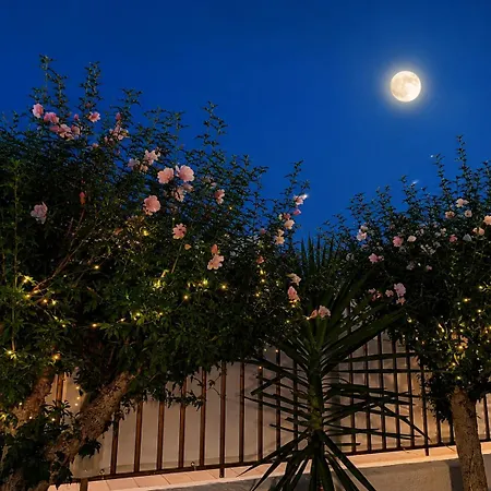 B&B Carluccetta